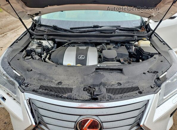 2T2BZMCA0HC060397 2017 LEXUS RX White Vista del compartimento del motor