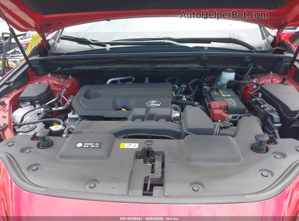 2T2GDCAZ2SC018103 2025 LEXUS NX 250 Red Вид ззаду