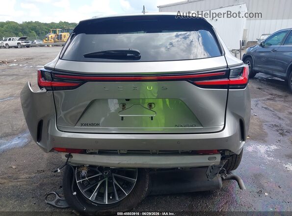 2T2GDCAZ2SC024046 2025 LEXUS NX 250 Beige 