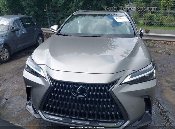 2T2GDCAZ2SC024046 2025 LEXUS NX 250 Beige Вид щитка приладів