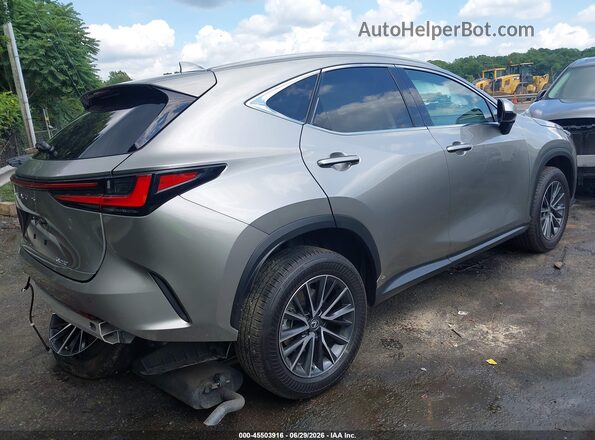 2T2GDCAZ2SC024046 2025 LEXUS NX 250 Beige Задня права чверть