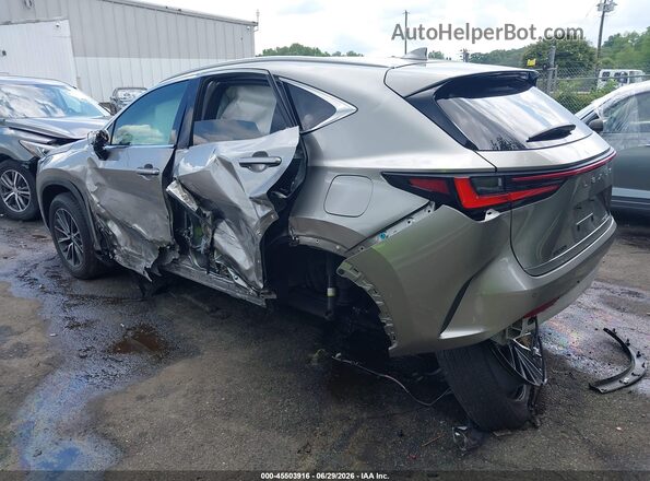 2T2GDCAZ2SC024046 2025 LEXUS NX 250 Beige Задня ліва чверть