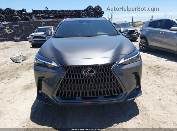 2T2GDCAZ3SC029207 2025 LEXUS NX 250 Gray უკანა სალონის ხედი
