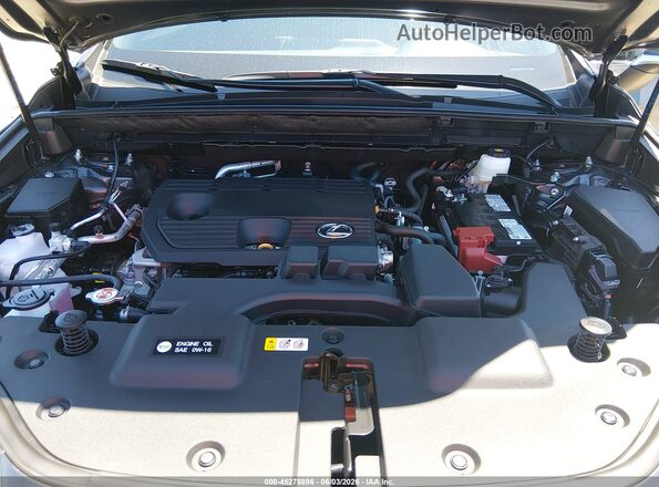 2T2GDCAZ3SC029207 2025 LEXUS NX 250 Gray უკანა ხედი