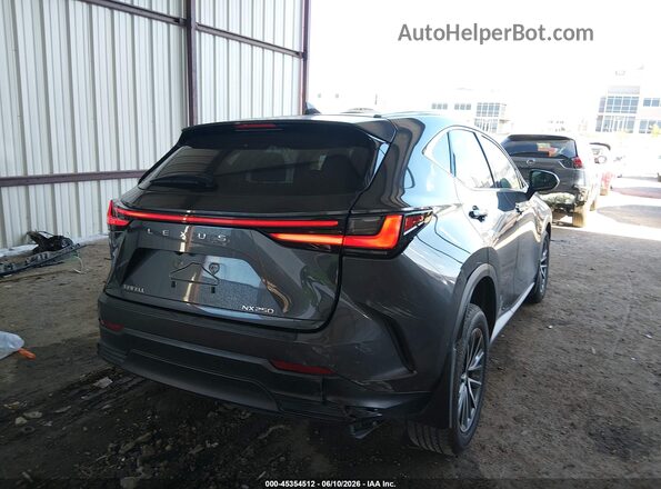 2T2GDCAZ4RC007470 2024 LEXUS NX 250 Gray Trasero derecho