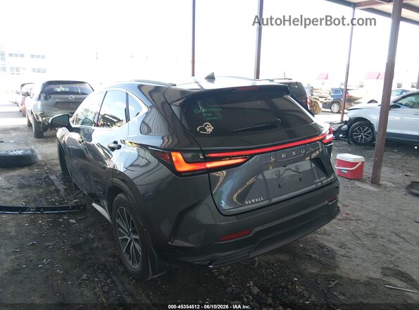2T2GDCAZ4RC007470 2024 LEXUS NX 250 Gray Trasero izquierdo