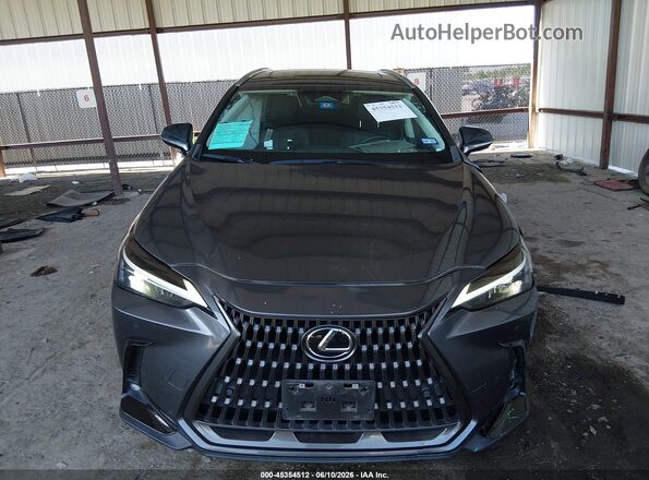 2T2GDCAZ4RC007470 2024 LEXUS NX 250 Gray Vista interior trasera