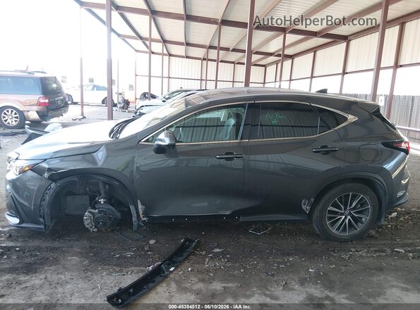 2T2GDCAZ4RC007470 2024 LEXUS NX 250 Gray 