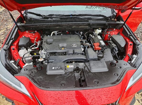 2T2GDCAZ7RC014316 2024 LEXUS NX Красный Вид задней части салона