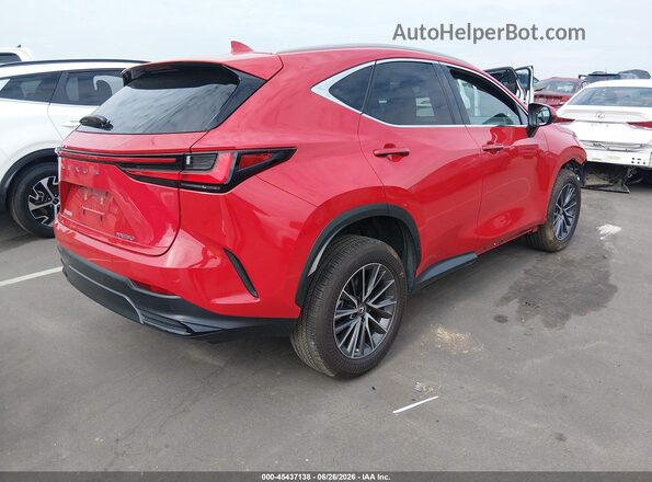 2T2GDCAZ8SC022558 2025 LEXUS NX 250 Red Задня права чверть