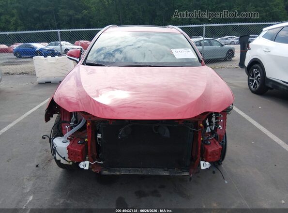 2T2GDCAZ8SC022558 2025 LEXUS NX 250 Red Вид задньої частини салону