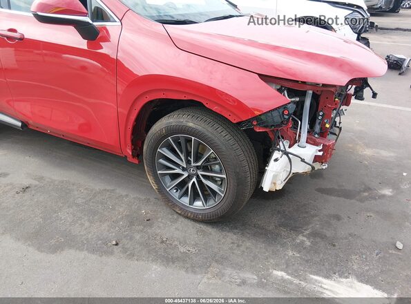 2T2GDCAZ8SC022558 2025 LEXUS NX 250 Red 