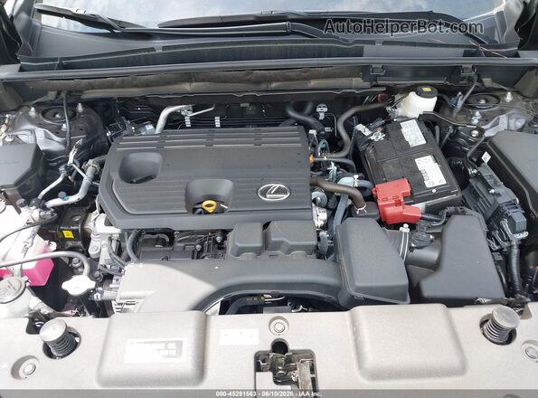 2T2GDCAZ9SC028580 2025 LEXUS NX 250 Black Rear view