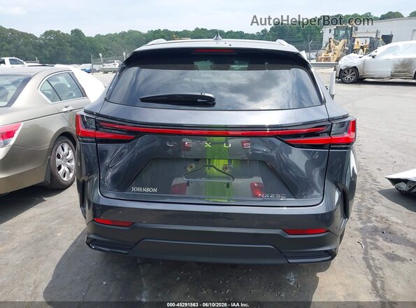 2T2GDCAZ9SC028580 2025 LEXUS NX 250 Black 