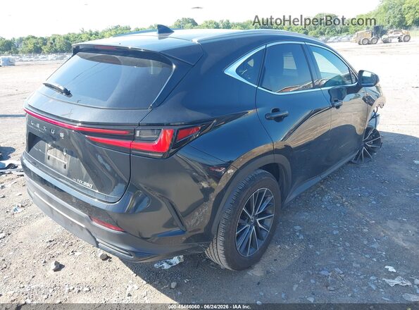 2T2GDCAZXRC011359 2024 LEXUS NX 250 Black Trasero derecho
