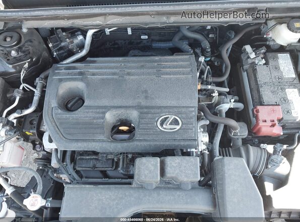 2T2GDCAZXRC011359 2024 LEXUS NX 250 Black Vista trasera