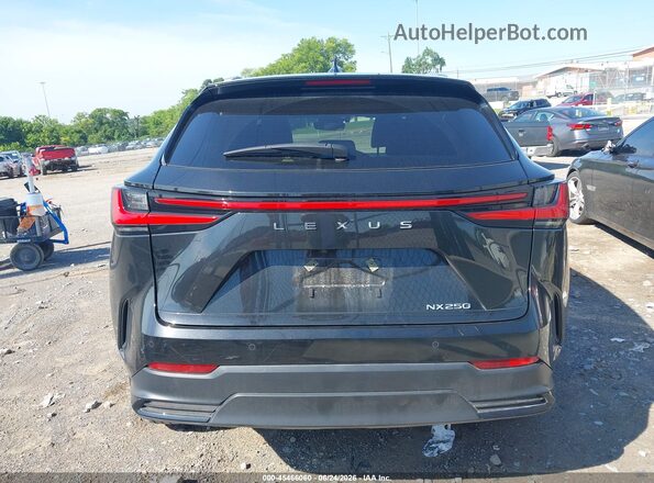 2T2GDCAZXRC011359 2024 LEXUS NX 250 Black 