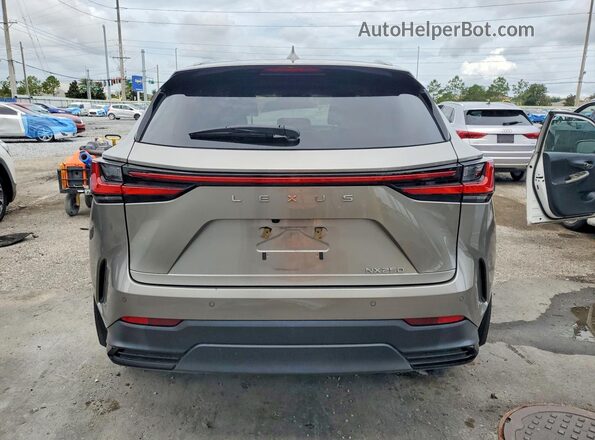 2T2GDCAZXSC017104 2025 LEXUS NX Beige 