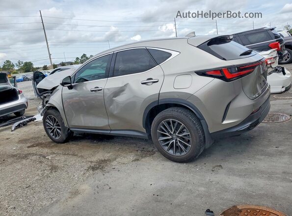 2T2GDCAZXSC017104 2025 LEXUS NX Beige 