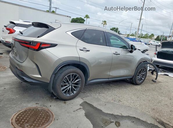 2T2GDCAZXSC017104 2025 LEXUS NX Beige 