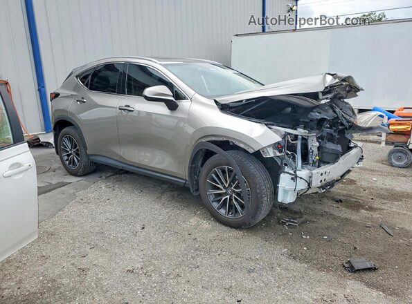 2T2GDCAZXSC017104 2025 LEXUS NX Beige 