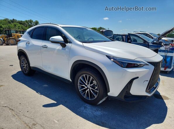 2T2GGCEZ1NC011570 2022 LEXUS NX White 