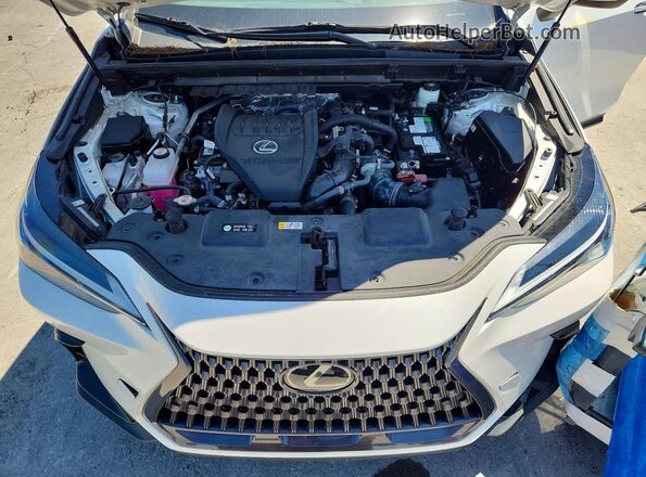 2T2GGCEZ1NC011570 2022 LEXUS NX White 