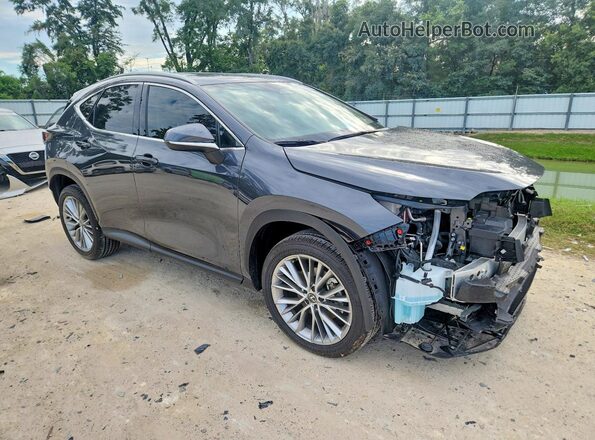 2T2GGCEZ1SC066449 2025 LEXUS NX Gray 