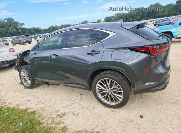 2T2GGCEZ1SC066449 2025 LEXUS NX Gray 