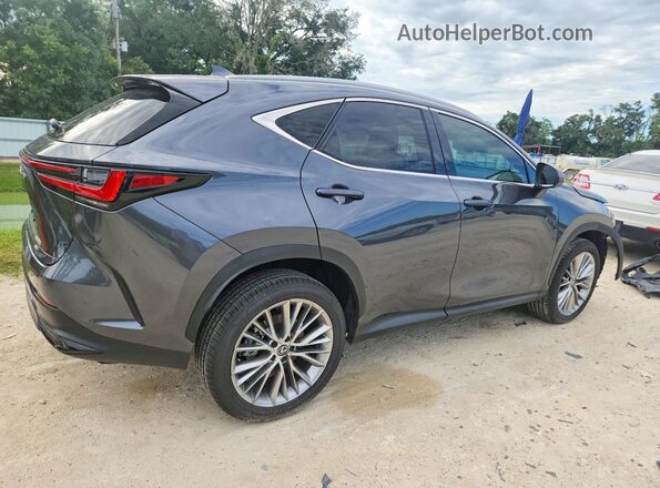 2T2GGCEZ1SC066449 2025 LEXUS NX Gray 