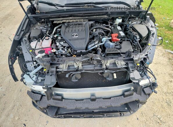 2T2GGCEZ1SC066449 2025 LEXUS NX Gray 