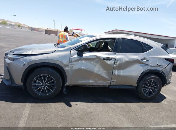 2T2GGCEZ1TC096391 2026 LEXUS NX 350 Gray 360 interior view