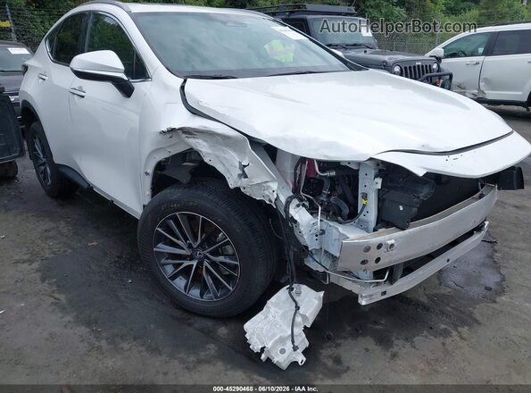 2T2GGCEZ4NC011417 2022 LEXUS NX 350 White Widok z przodu