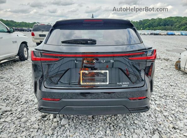 2T2GGCEZ5RC053729 2024 LEXUS NX Black Вид ззаду