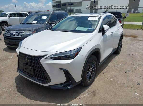 2T2GGCEZ5RC057151 2024 LEXUS NX 350 White Առջևի ձախ երեք քառորդ տեսարան