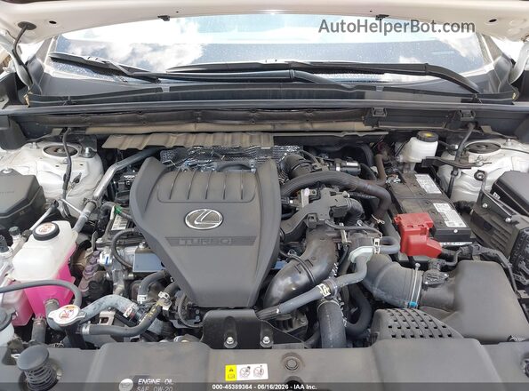 2T2GGCEZ5RC057151 2024 LEXUS NX 350 White Հետևի տեսք