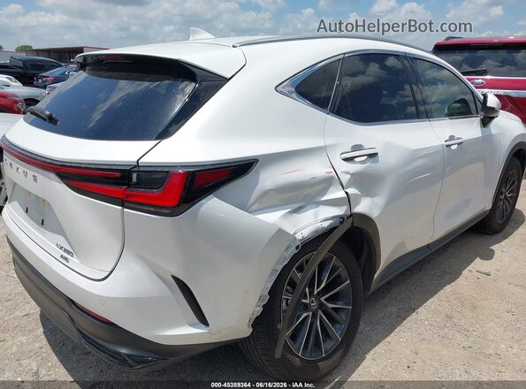 2T2GGCEZ5RC057151 2024 LEXUS NX 350 White Դիմացի տեսք