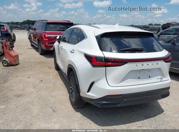 2T2GGCEZ5RC057151 2024 LEXUS NX 350 White Հետևի ձախ