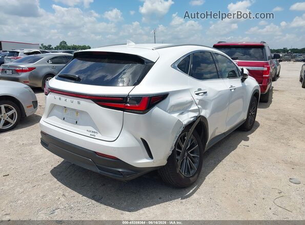 2T2GGCEZ5RC057151 2024 LEXUS NX 350 White Հետևի աջ