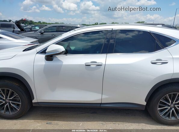 2T2GGCEZ5RC057151 2024 LEXUS NX 350 White Սալոնի հետևի տեսք