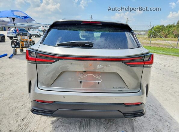 2T2GGCEZ5SC081164 2025 LEXUS NX Серебряный Вид сзади