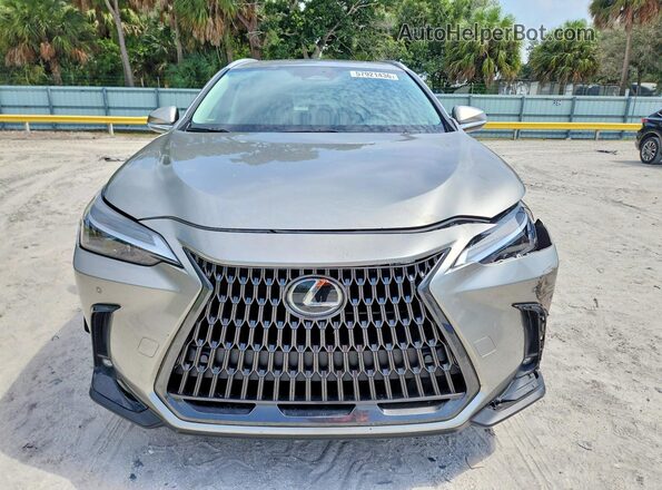 2T2GGCEZ5SC081164 2025 LEXUS NX Серебряный Вид спереди