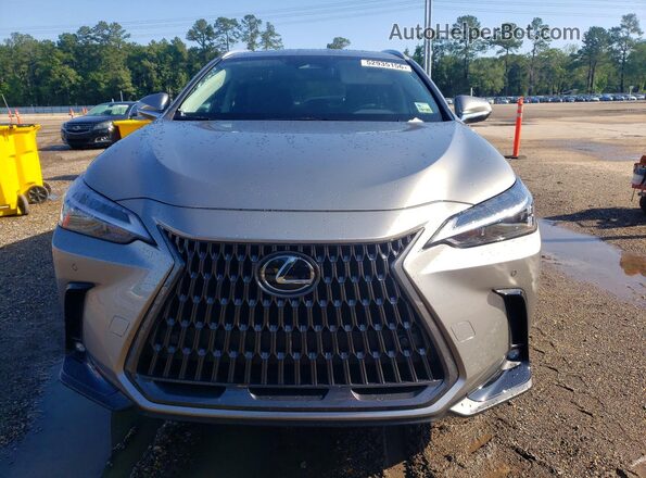 2T2GGCEZ5TC096538 2026 LEXUS NX Silver 