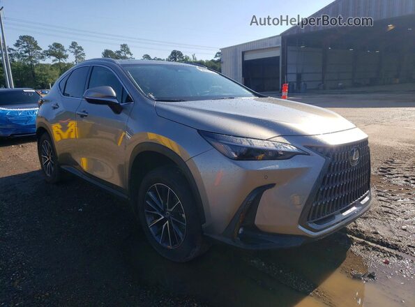 2T2GGCEZ5TC096538 2026 LEXUS NX Silver 
