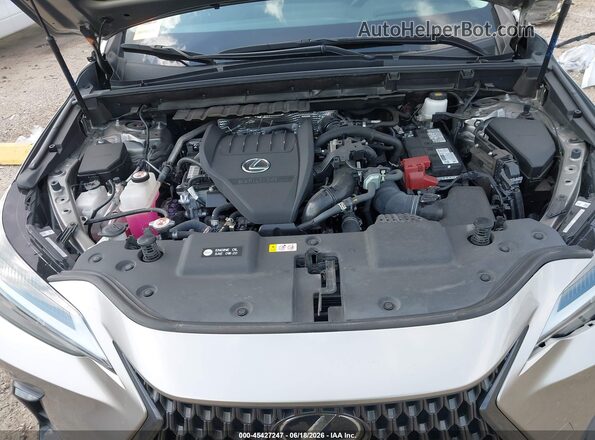 2T2GGCEZ6PC019568 2023 LEXUS NX 350 Champagne Rear view