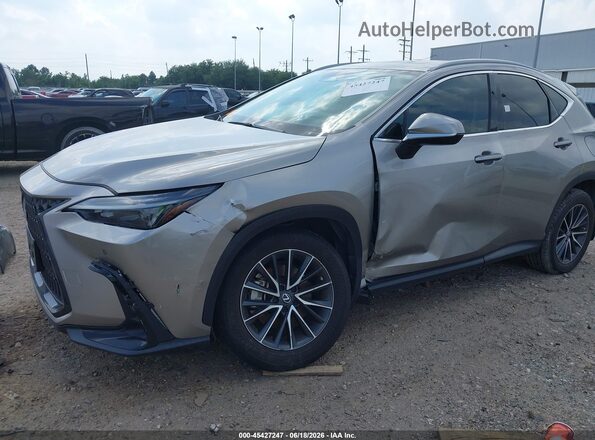 2T2GGCEZ6PC019568 2023 LEXUS NX 350 Champagne Front view