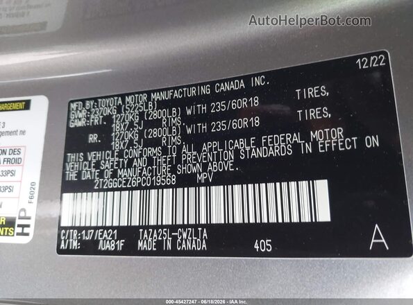 2T2GGCEZ6PC019568 2023 LEXUS NX 350 Champagne Engine compartment view
