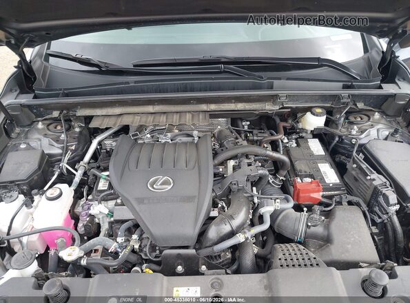 2T2GGCEZ7PC016159 2023 LEXUS NX 350 Gray Widok z tyłu