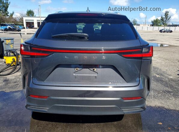2T2GGCEZ7PC023144 2023 LEXUS NX Gray 