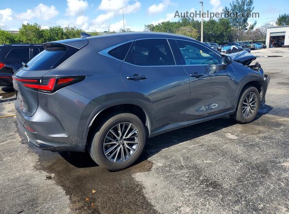 2T2GGCEZ7PC023144 2023 LEXUS NX Gray 